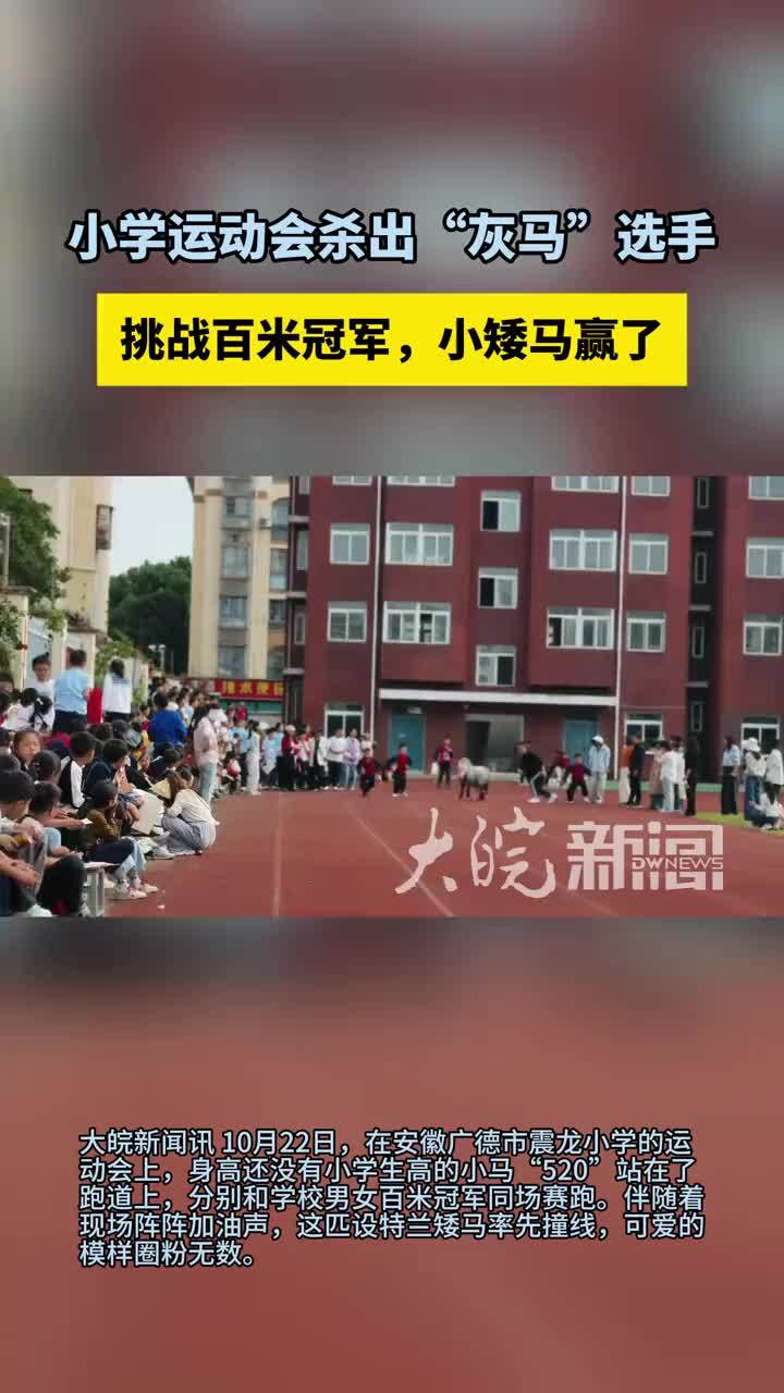 小学运动会杀出“灰马”选手 挑战百米冠军，小矮马赢了10月22日，在安徽广德市震龙小学的运动会上，身高还没有小学生高的小马“520”站在了跑道上，分别和学校男女百米冠军同场赛跑。伴随着现场阵阵加油声