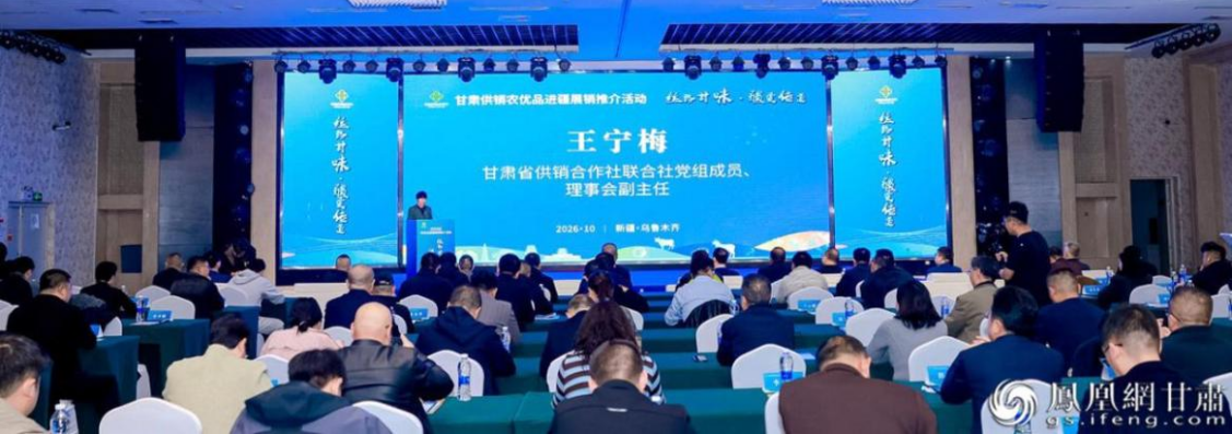 “‘丝路甘味・疆爱传递’甘肃供销农优品进疆展销活动”在新疆维吾尔自治区乌鲁木齐市举办 甘肃省供销联社供图