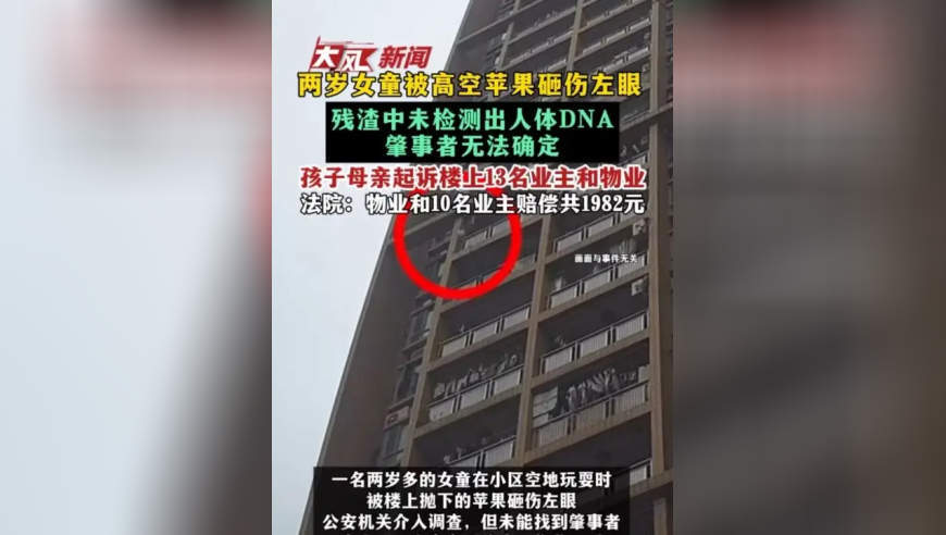两岁女童被高空苹果砸伤左眼 残渣中未检测出人体DNA 肇事者无法确定 孩子母亲起诉楼上13名业主和物业 法院：物业和10名业主赔偿共1982元