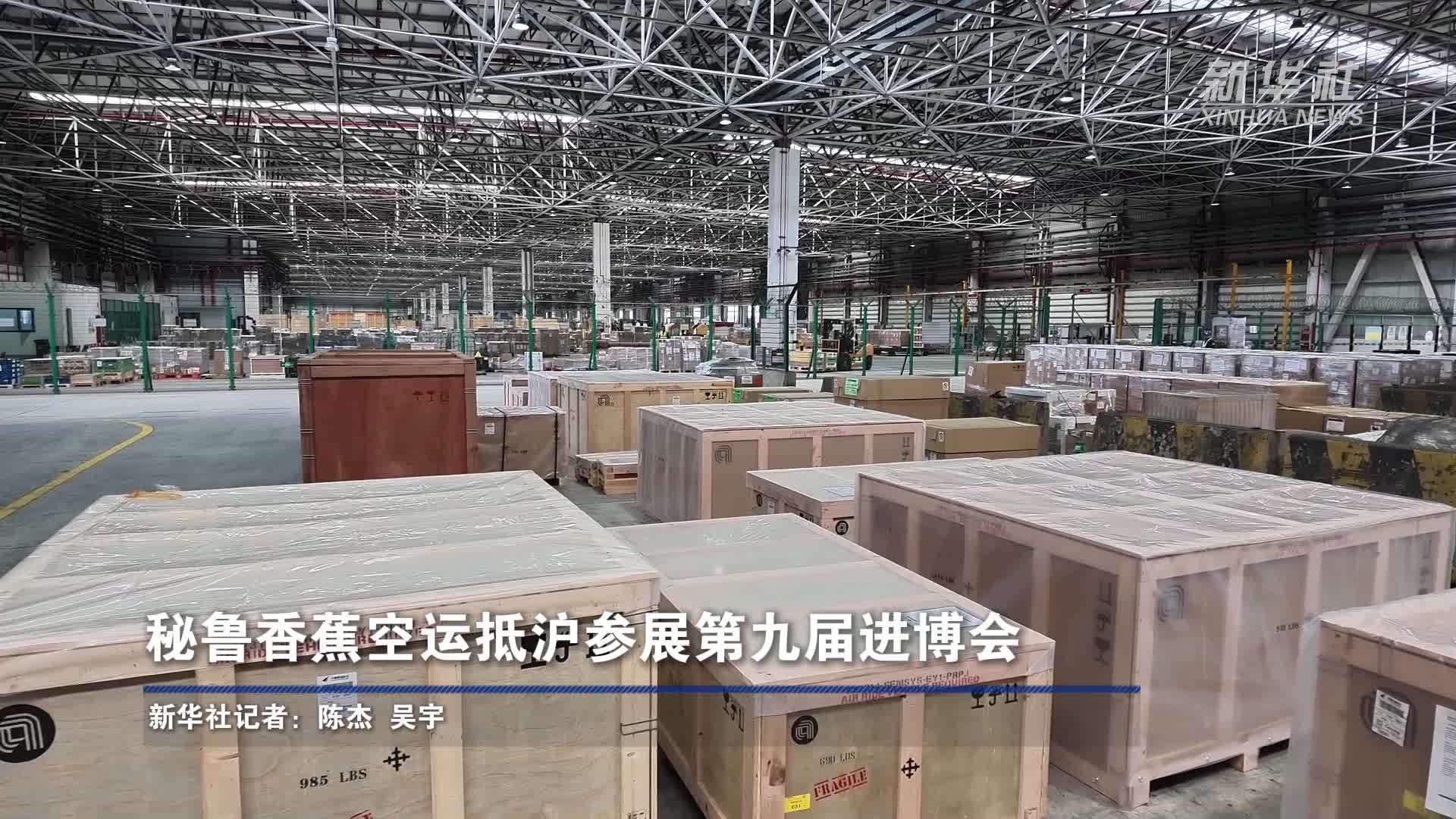 秘鲁香蕉空运抵沪参展第九届进博会