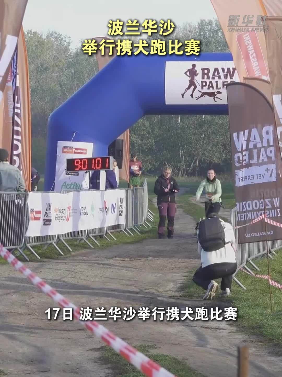 波兰华沙举行携犬跑比赛