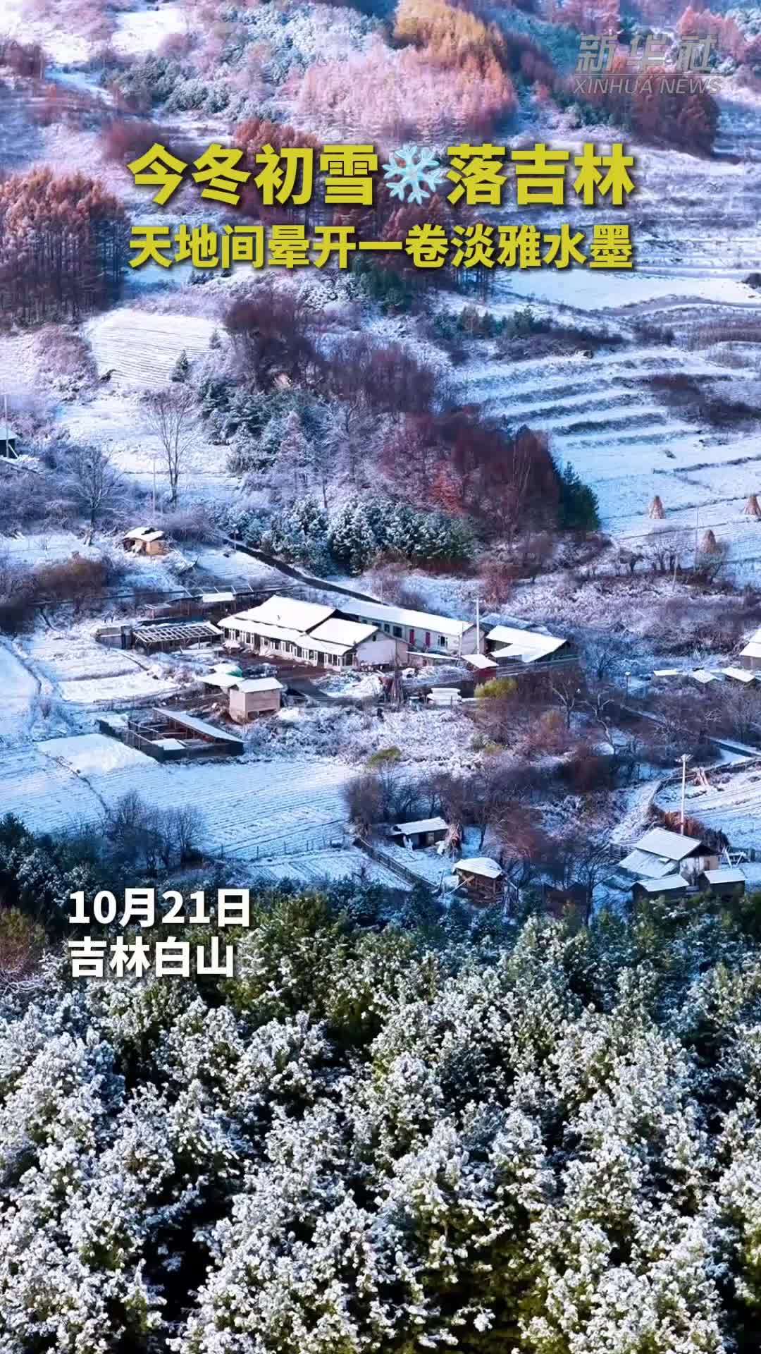 今冬初雪落吉林 犹如一卷淡雅水墨