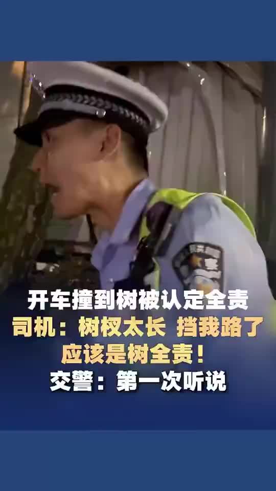 开车撞到树被认定全责，司机辩称：树枝太长挡路了，应该树全责