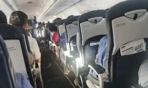海口飞芜湖一客机遇飞鸟撞击紧急返航，桂林航空客服回应