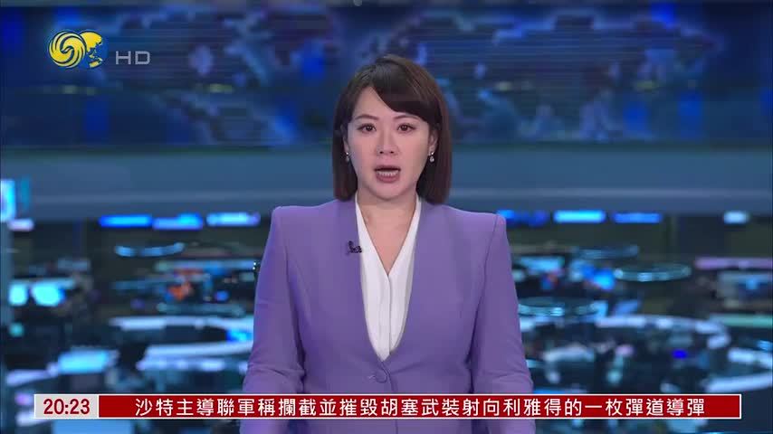 埃及留华人士研讨会在开罗举行