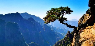 文旅先声