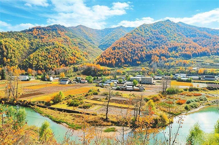 深秋时节，岷县秦许乡桥上村层林尽染。新甘肃&middot;甘肃日报通讯员　郎佐民