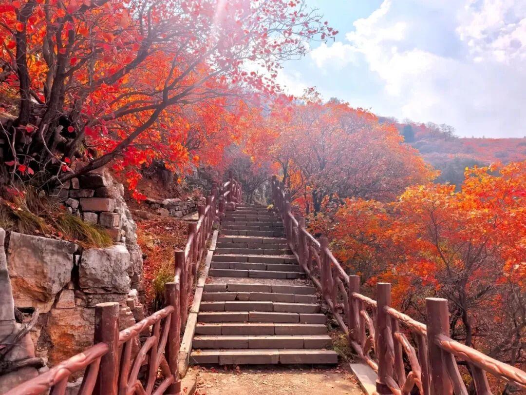 © | 爱喝咖啡的工抵小姐姐
