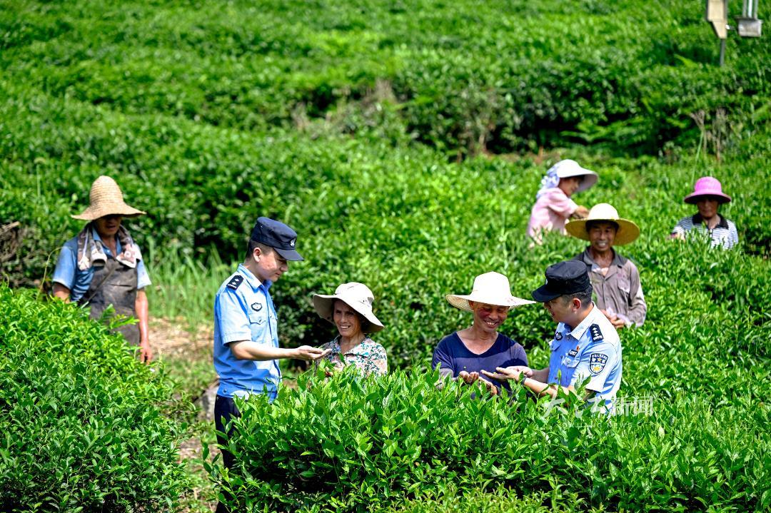九江市公安局环食药侦支队走访庐山云雾茶产业集团3.jpg