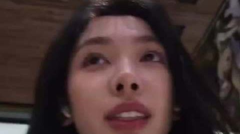 又一起!易梦玲巴黎出差行李被盗:一下子就不见了,相机、旧护照全部丢失