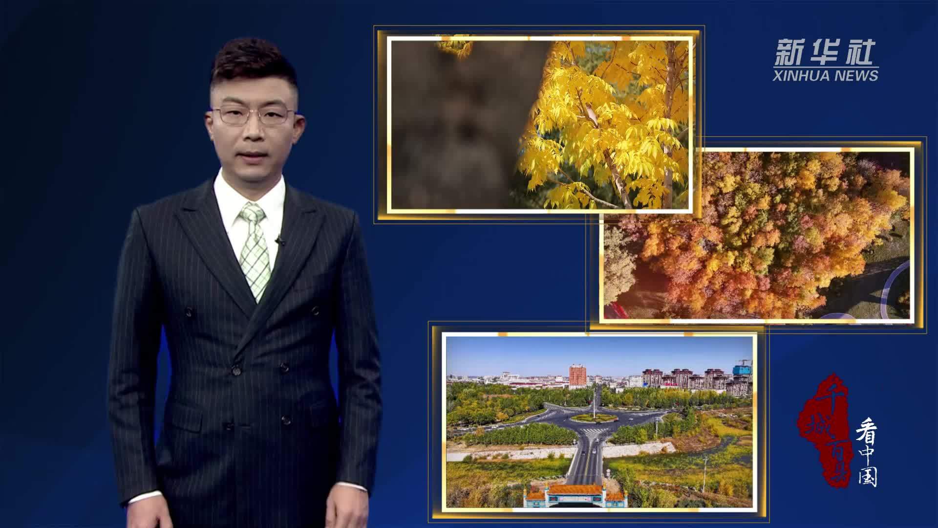 千城百县看中国｜内蒙古：北疆秋韵