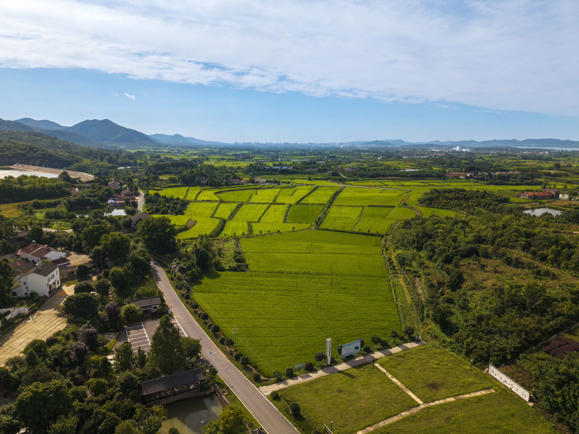 以文艺之力浸润乡土大地 绘就平度乡村文化振兴新画卷
