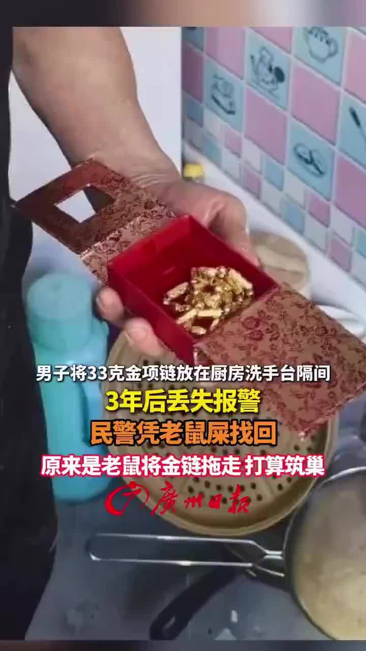 33克金项链丢失民警凭老鼠屎找回，老鼠拖走33克金项链打算筑巢