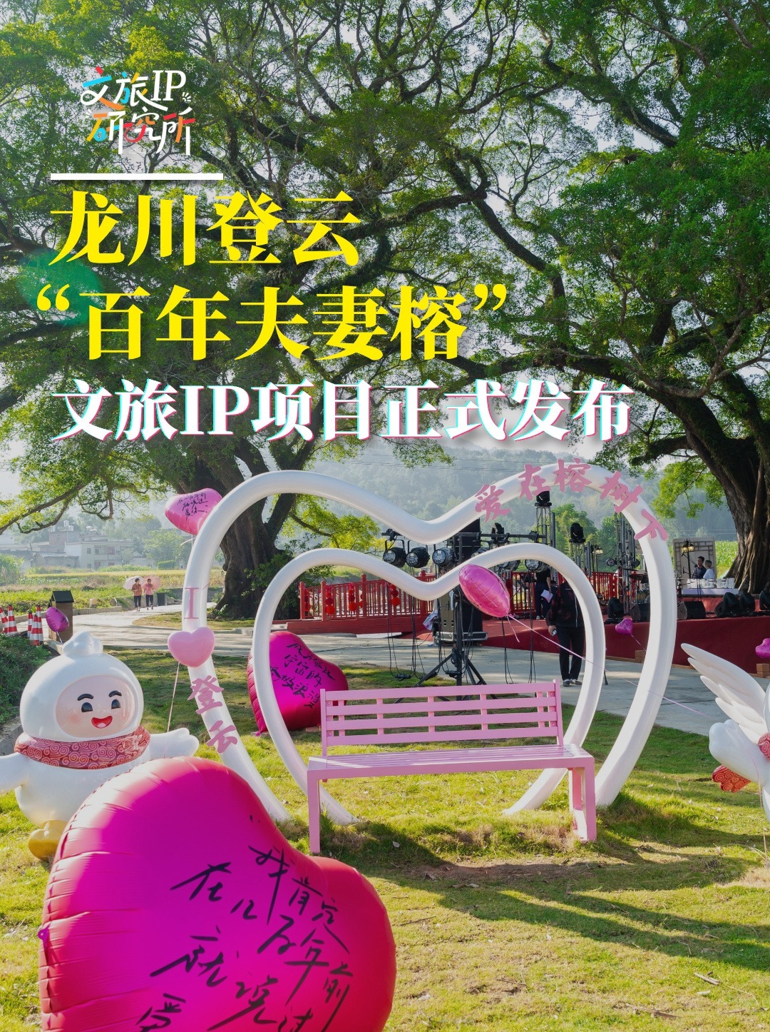 龙川登云“百年夫妻榕”文旅IP正式发布