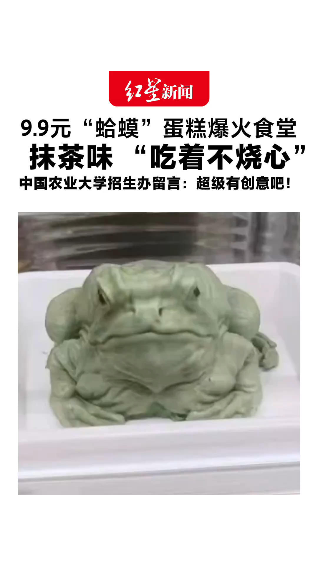 9.9元“蛤蟆”蛋糕爆火食堂 抹茶味 “吃着不烧心” 中国农业大学招生办留言：超级有创意吧