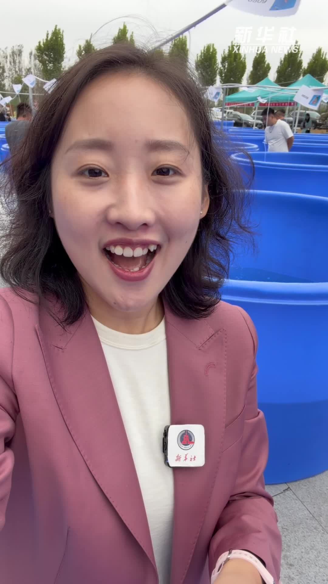锦鲤选美比什么？