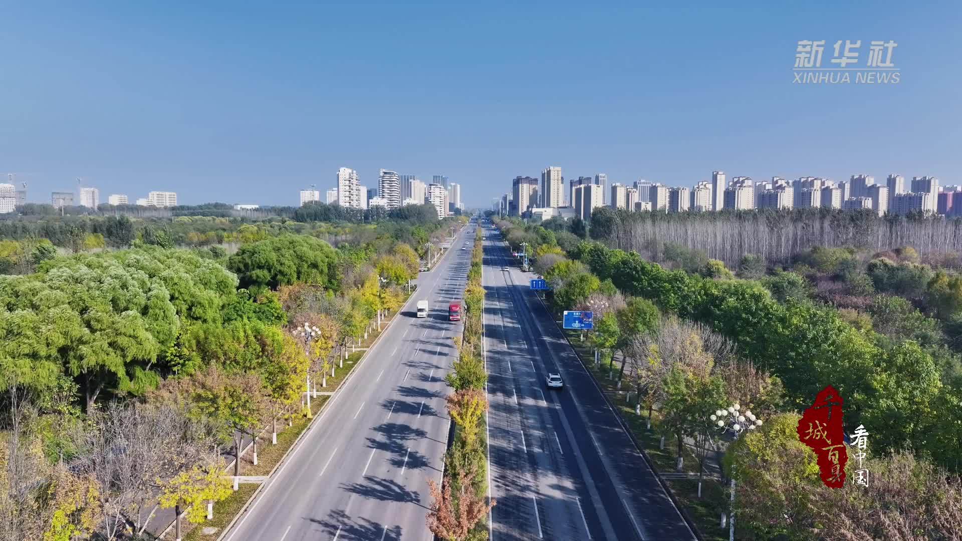 千城百县看中国｜河北白沟：外贸提质助推特色产业