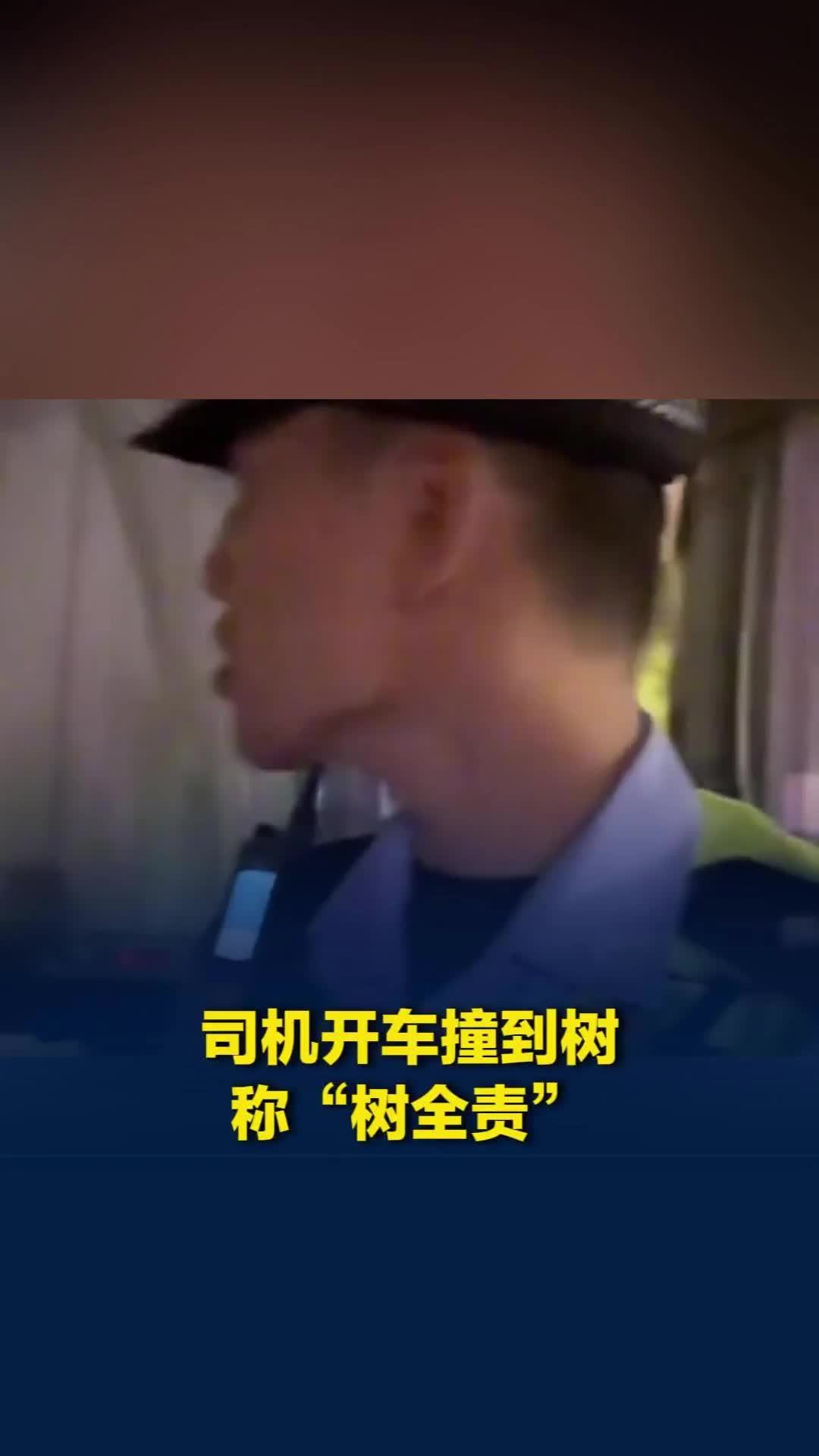 一男子开车撞树后坚称“树全责”：它太歪了，树杈太长挡到我了