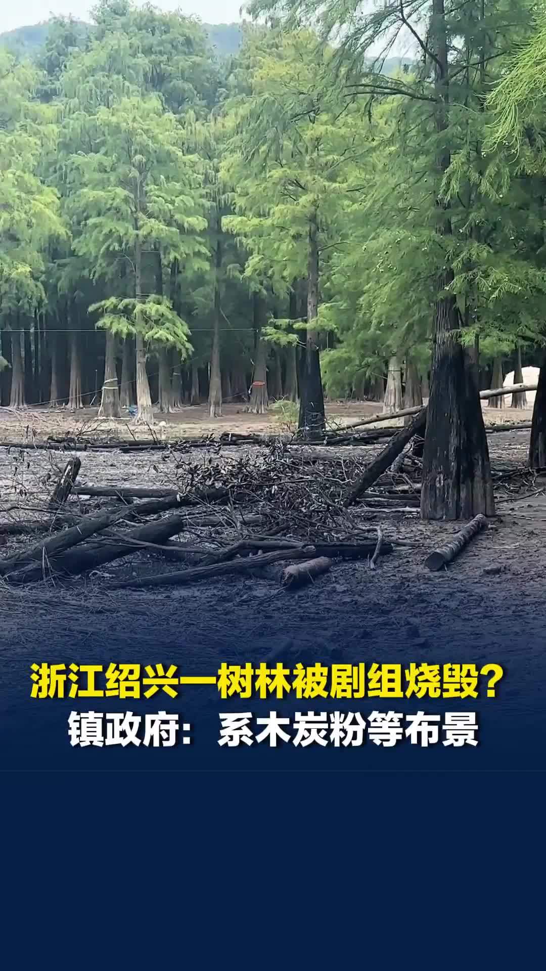 浙江绍兴一树林被剧组烧毁？当地镇政府：系木炭粉等布景