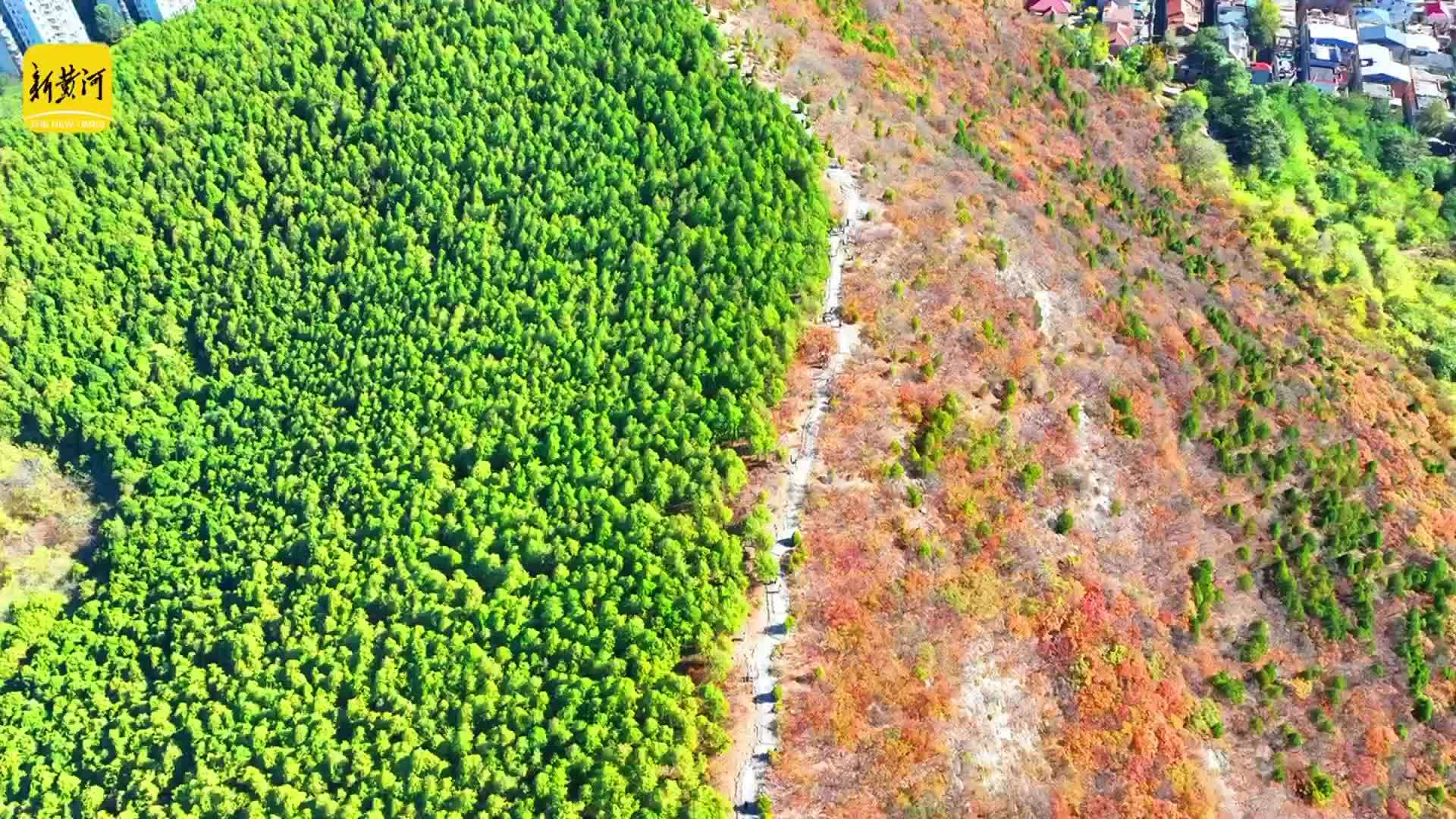 深秋赏叶，济南蝎子山“鸳鸯锅”上线