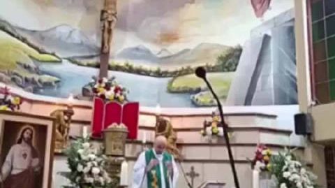 厄瓜多尔一神父被十字架砸死 身后十字架突然倒下,厄瓜多尔一神父被砸死