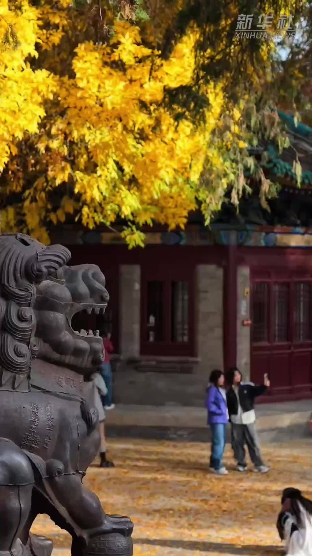 太原寻秋