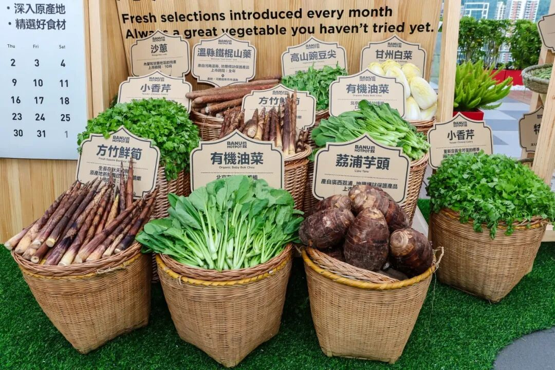 巴奴杜中兵:如果香港做不好,巴奴没资格谈国际化
