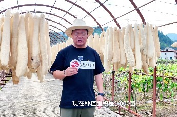 点“络”成金！慈溪-常山山海协作培育县域富民产业