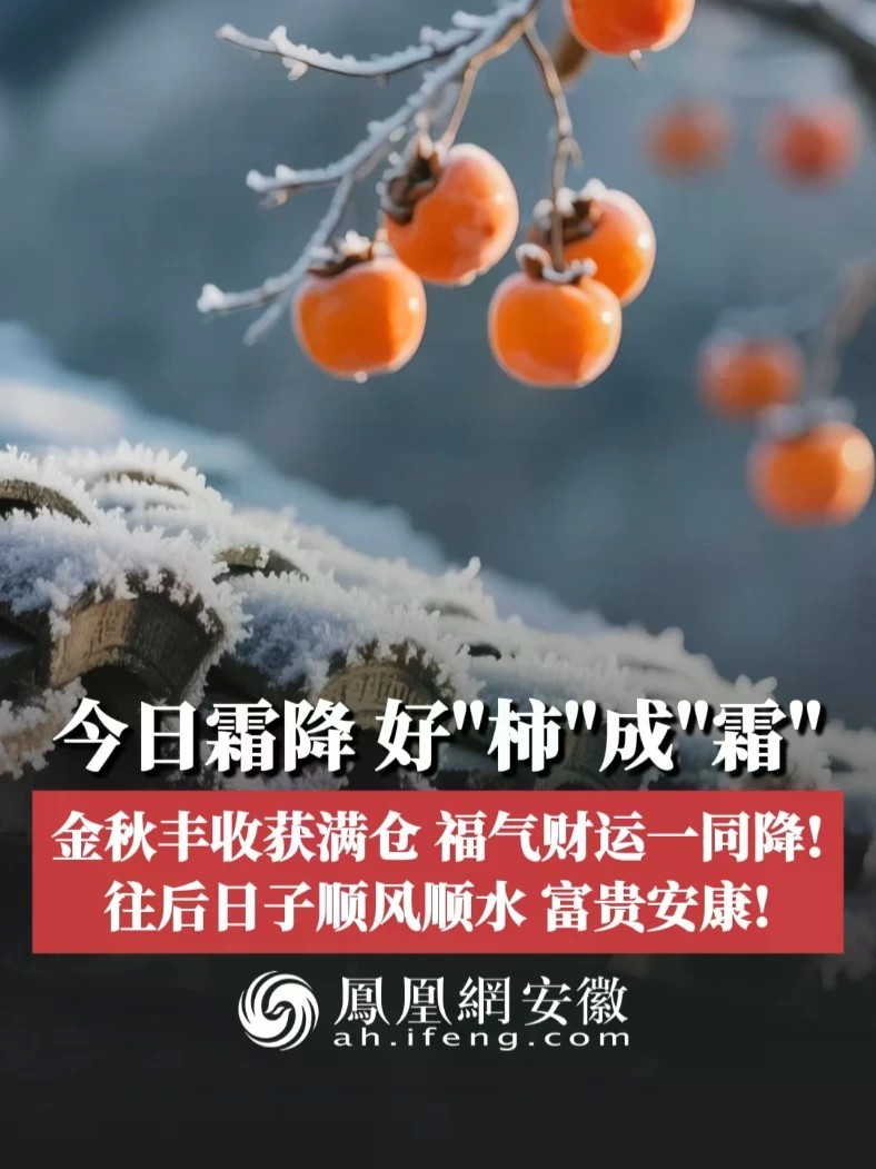 #凤观二十四节气 今日霜降，好“柿”成“霜”，金秋丰收获满仓，福气财运一同降！往后日子顺风顺水，富贵安康！#霜降 #祝福