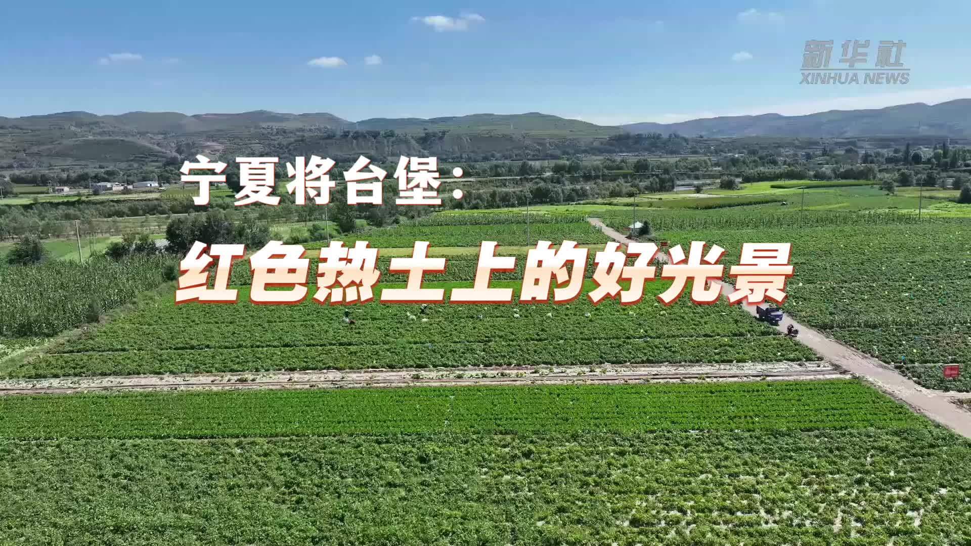 赓续长征精神 奋进复兴征程｜宁夏将台堡：红色热土上的好光景