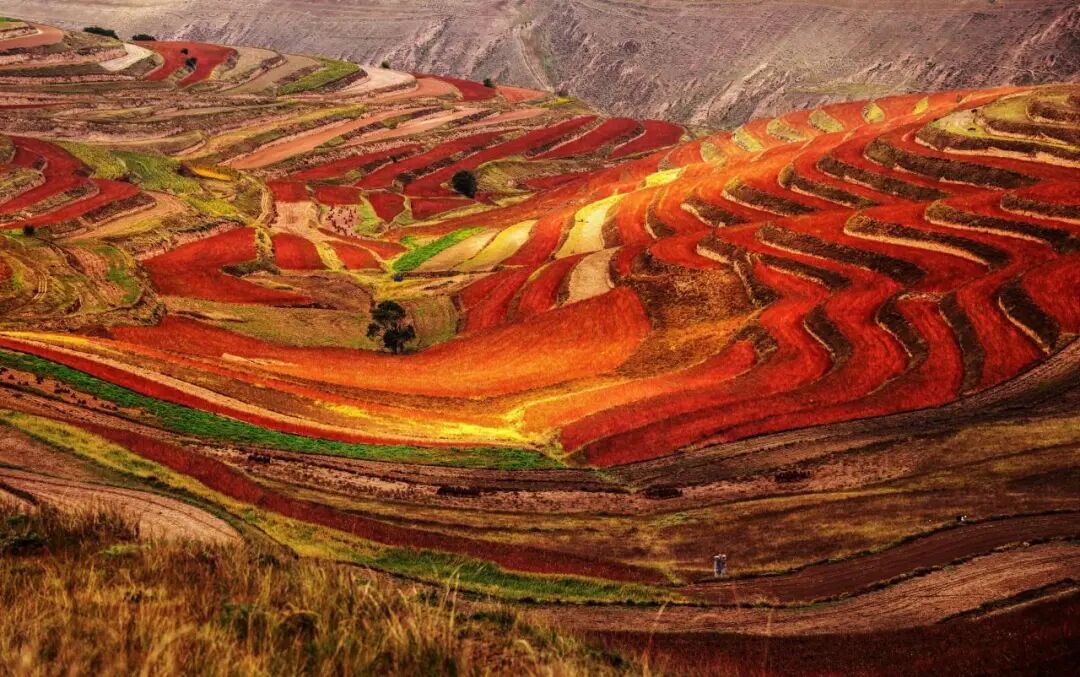 画意苏家山