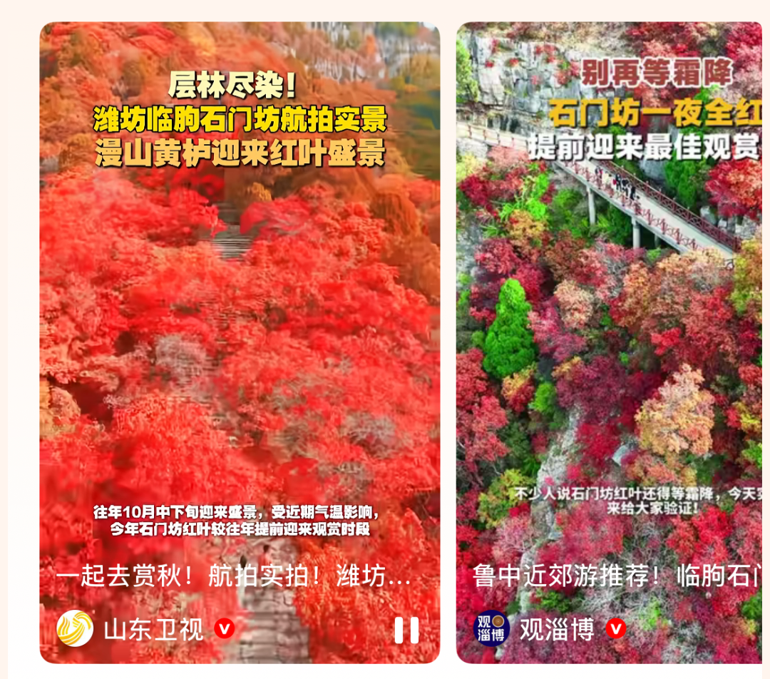 即将爆红!潍坊 “齐鲁红叶之冠” 已进入最佳观赏期!
