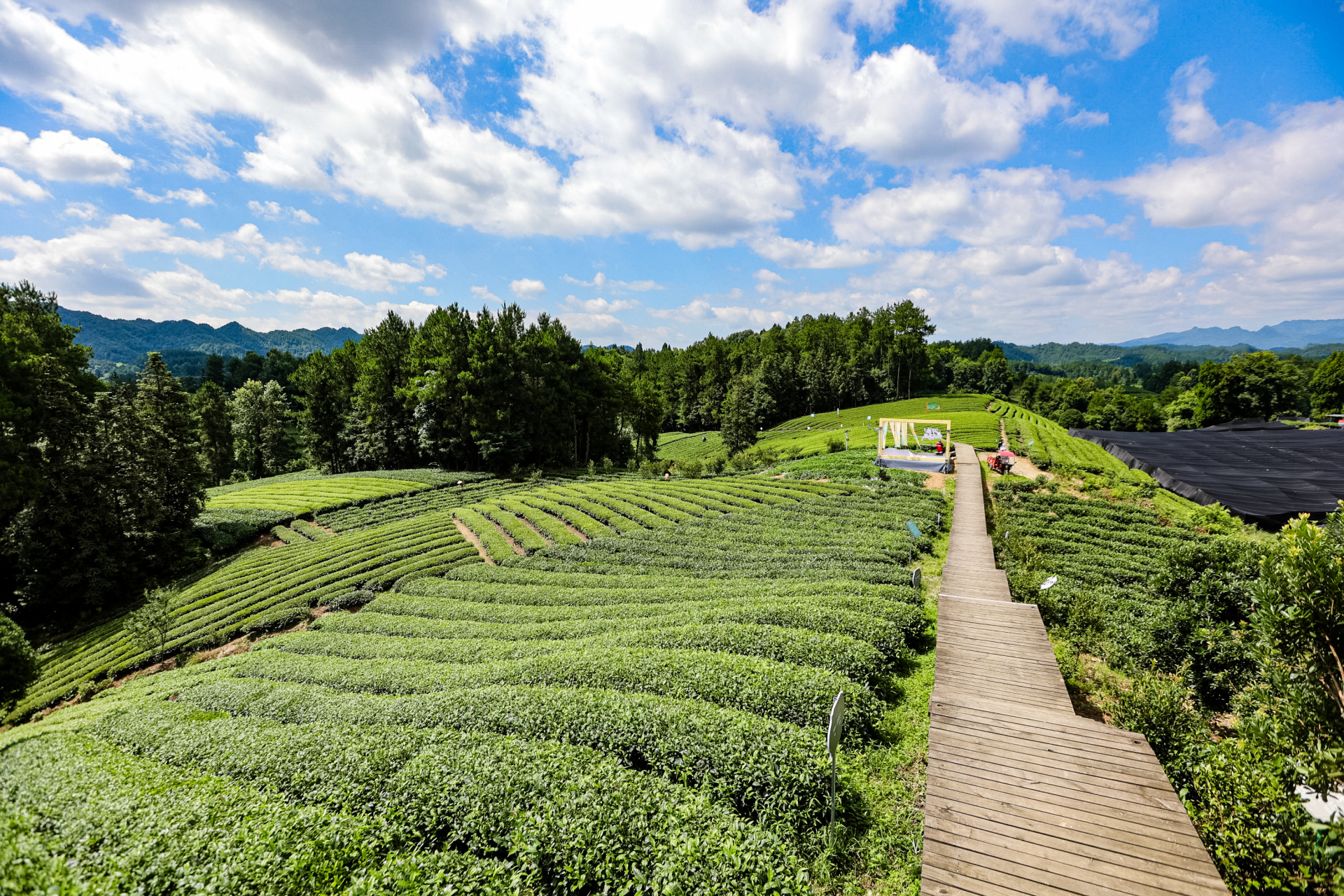 崂山区深耕田园课堂 绘就立德树人新图景