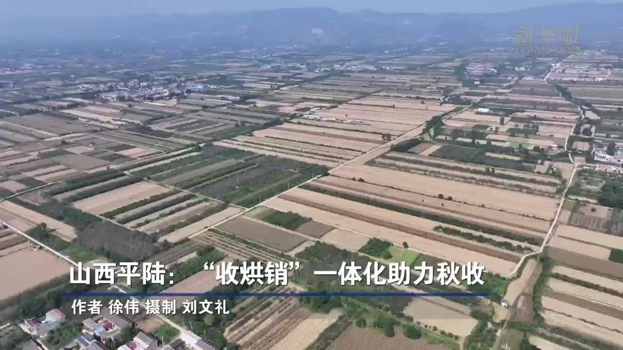 山西平陆：“收烘销”一体化助力秋收