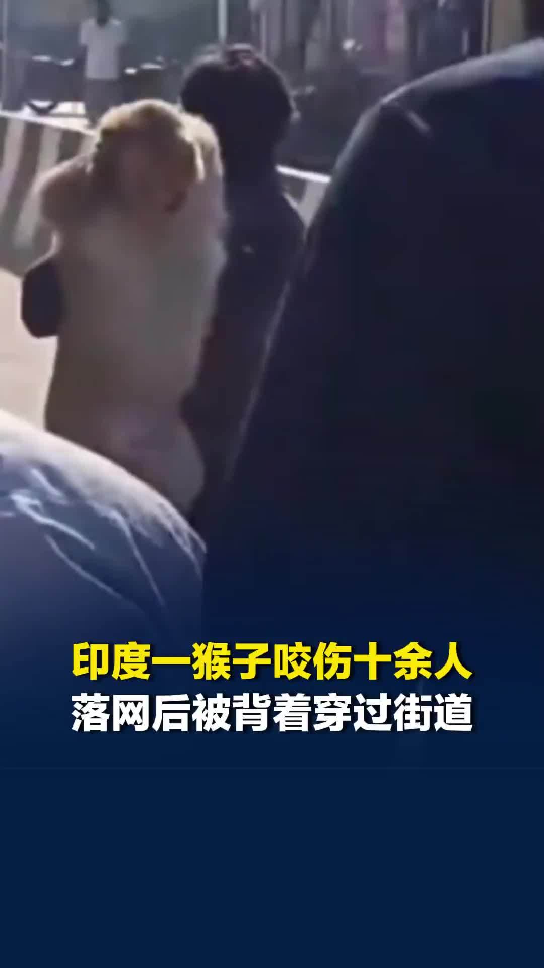 印度一猴子频繁袭击居民咬伤十余人，有人悬赏捉拿猴子，居民搜捕10天后将其抓获