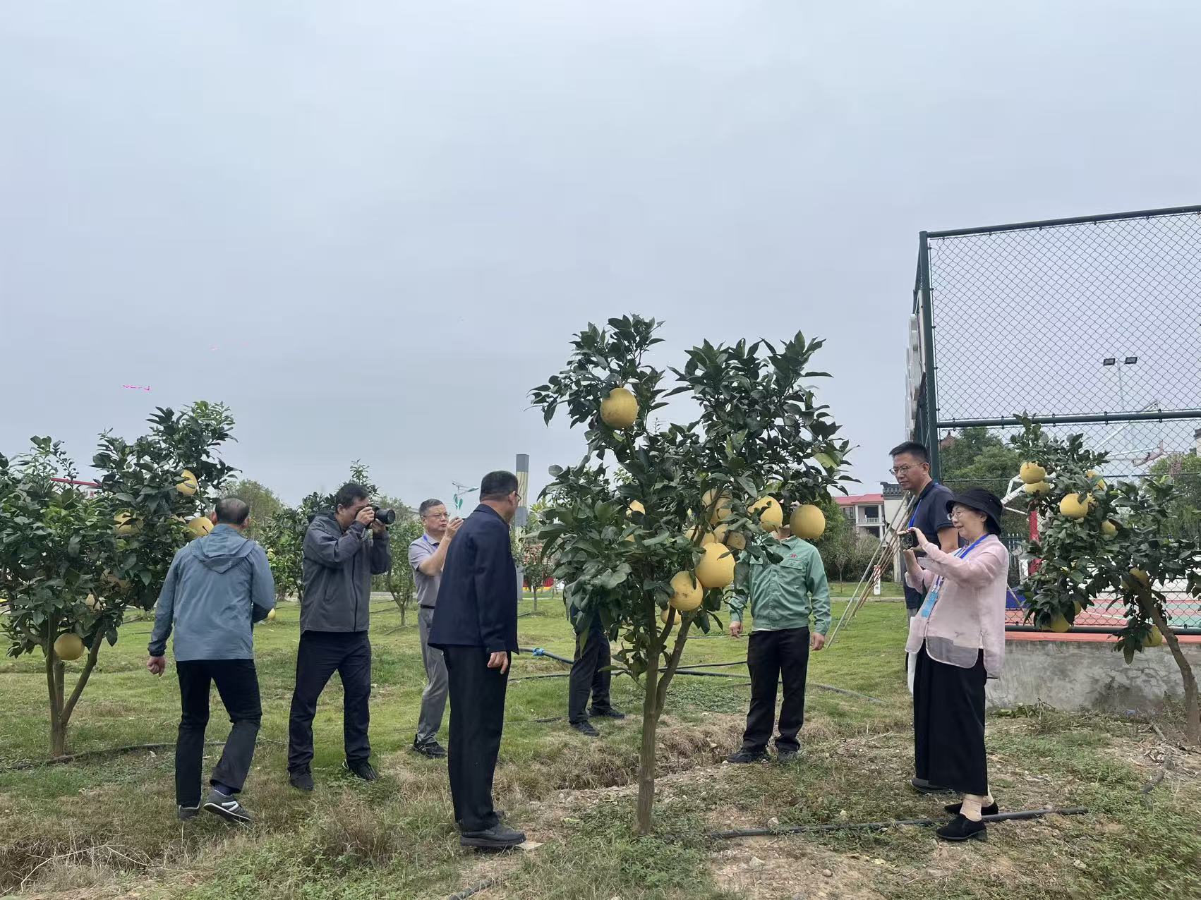 江西彭泽：持续书写新时代长江经济带发展崭新答卷