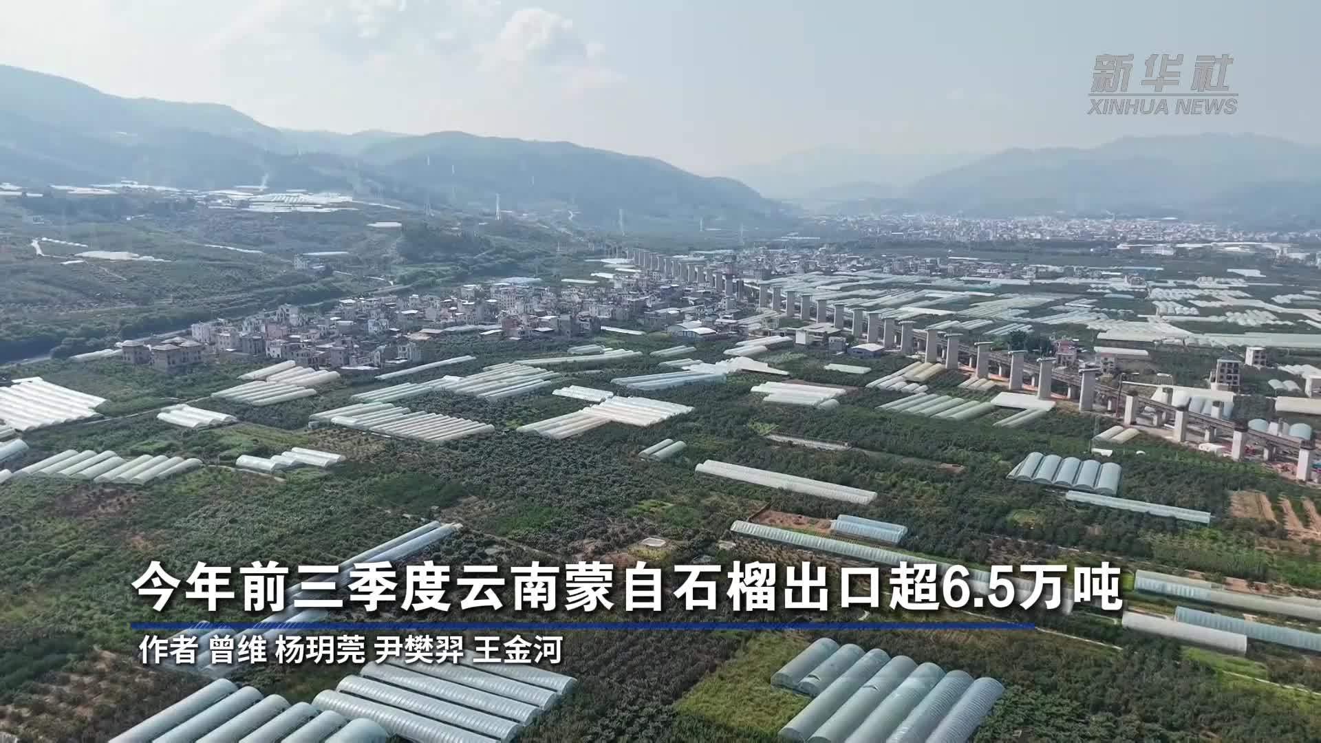今年前三季度云南蒙自石榴出口超6.5万吨