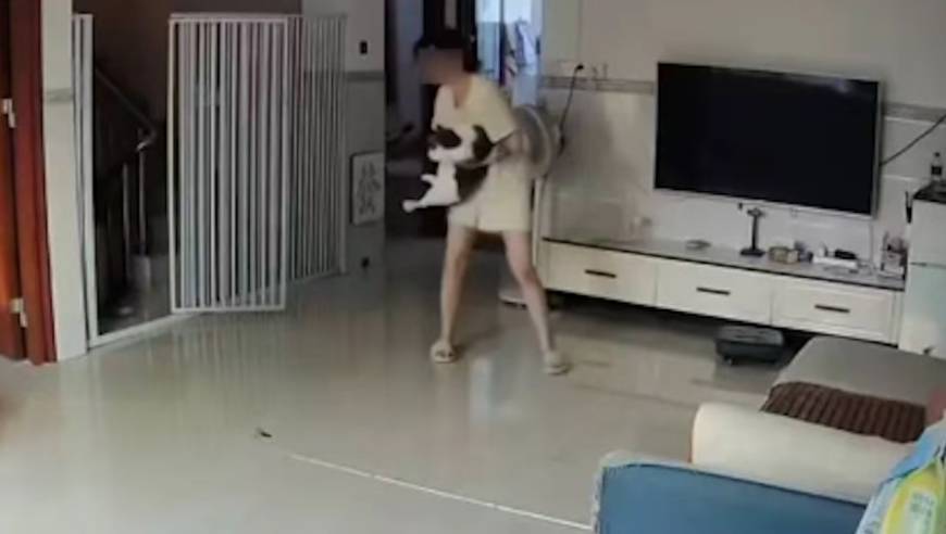 广东女子被自家12斤的猫踹中肚子，凌晨疼醒后打电话求救，医生：严重可危及生命