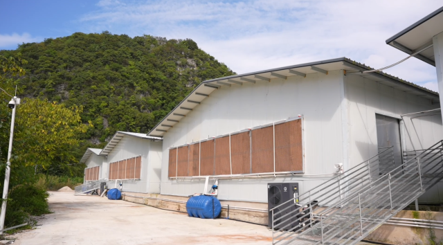 平坝区灰鹅种鹅育种(育苗)基地。
