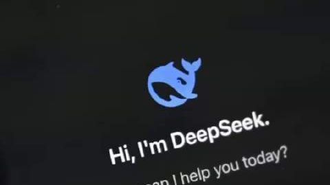美政府对deepseek下黑手 针对DeepSeek,美国政府下黑手