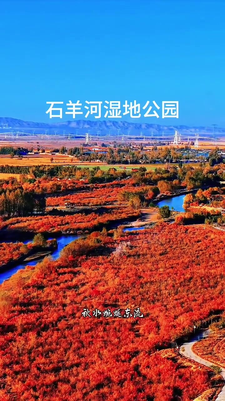 大漠深处藏秀水　秋日民勤石羊河美成画卷