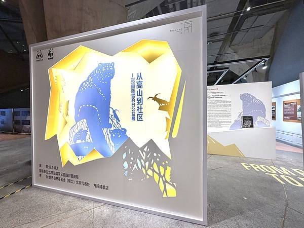 文章配图-3