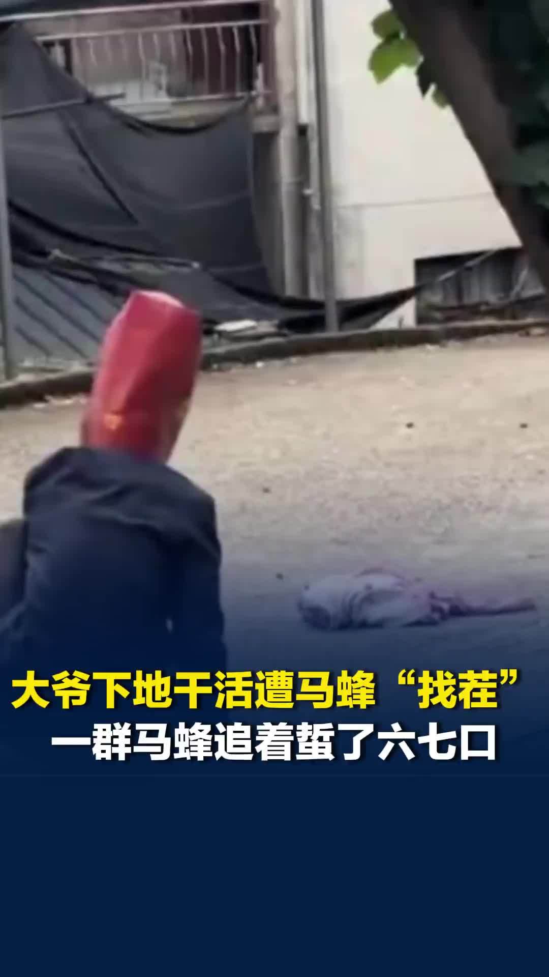 大爷下地干活遭马蜂“找茬”，一群马蜂追着蜇了六七口，拍摄者：就医后已无大碍