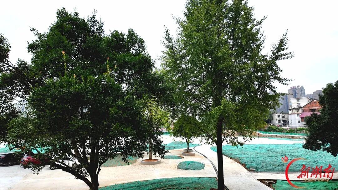 湘伴丨不搞大拆大建,湖南这9地给城市更新“打了个样”