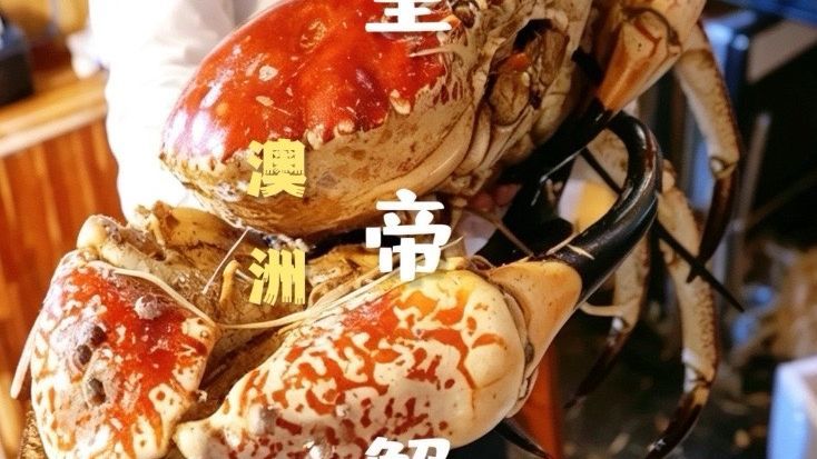 珍稀澳洲深海皇帝蟹，重达20公斤，蟹黄炒饭浓汤避风塘蟹钳全安排