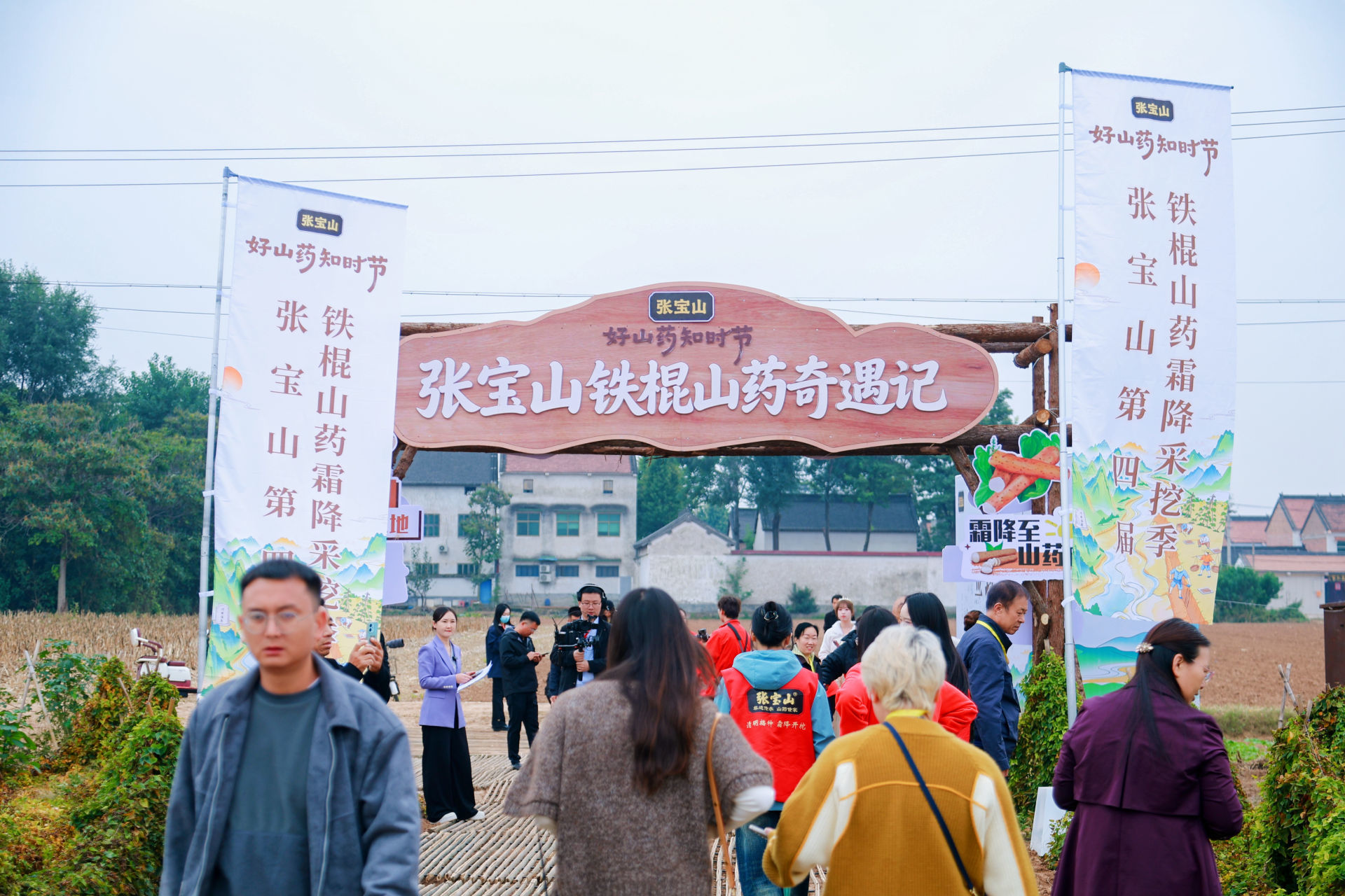 温县铁棍山药丰收啦！张宝山第四届铁棍山药霜降采挖季启幕