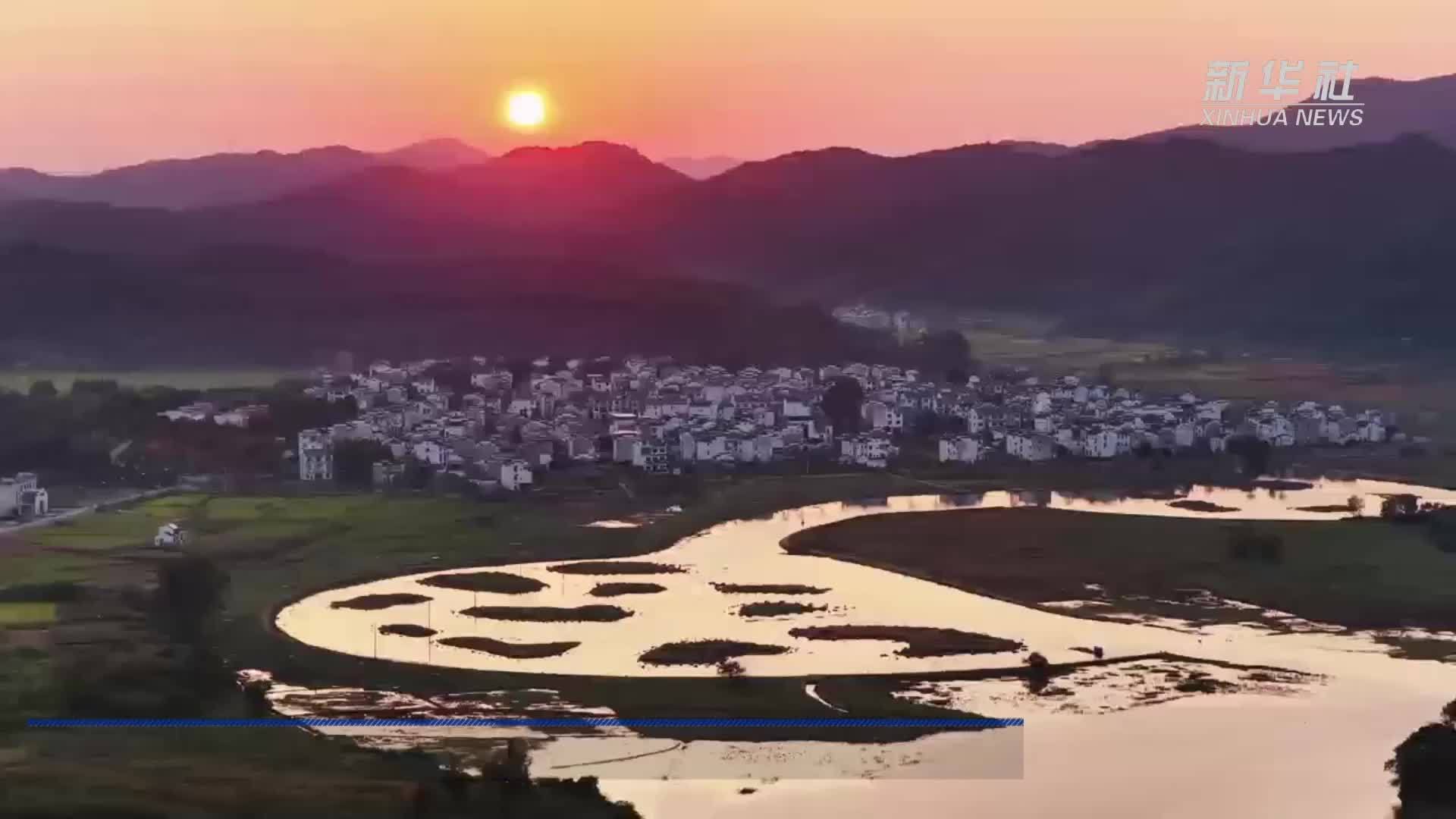 江西婺源：朝霞染湿地 白鹭掠清波