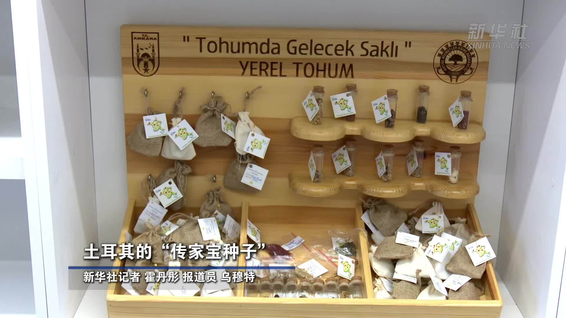 土耳其的“传家宝种子”