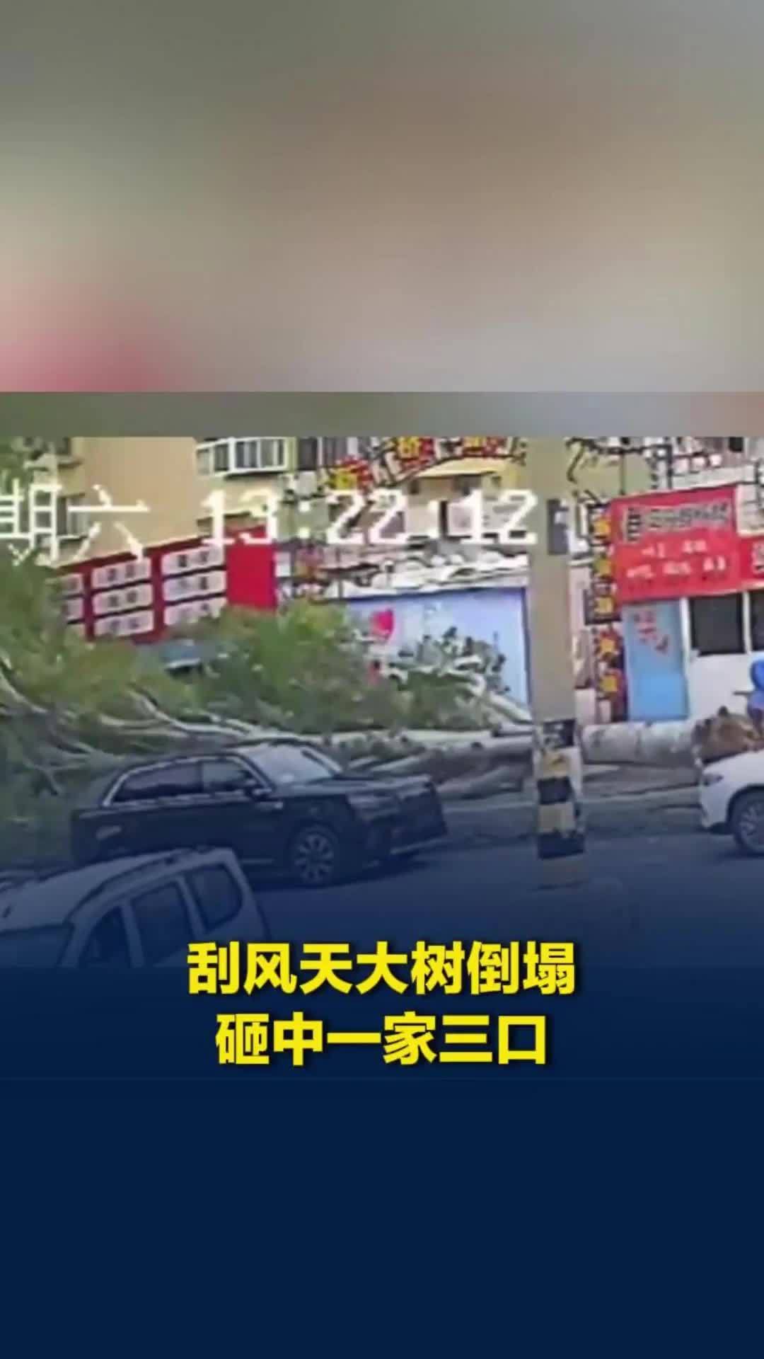 山东烟台一棵大树被风刮倒，一家三口路过被砸到，知情者：无大碍，救护车已接走