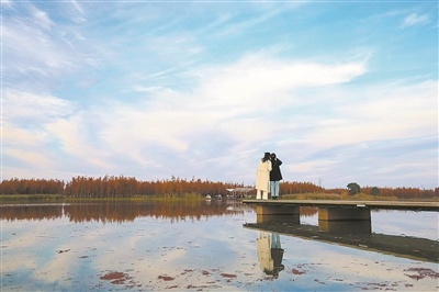 游客在鱼尾洲湿地公园拍照打卡